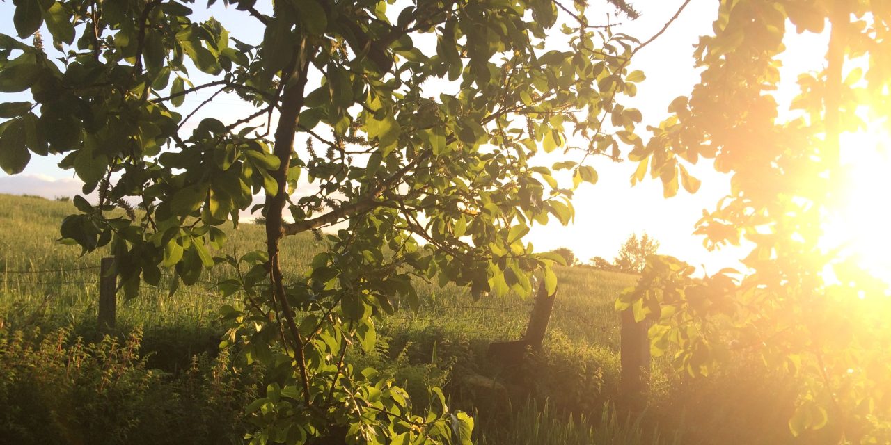 The Role of Christian Spirituality in Cultivating Everyday Well-Being