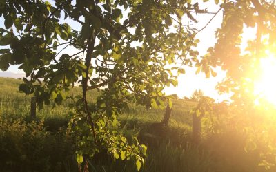 The Role of Christian Spirituality in Cultivating Everyday Well-Being