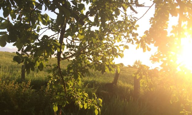 The Role of Christian Spirituality in Cultivating Everyday Well-Being