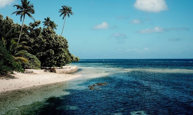 The Gift of Slowing Down: 7 Ways to Embrace a Slower Pace of Life