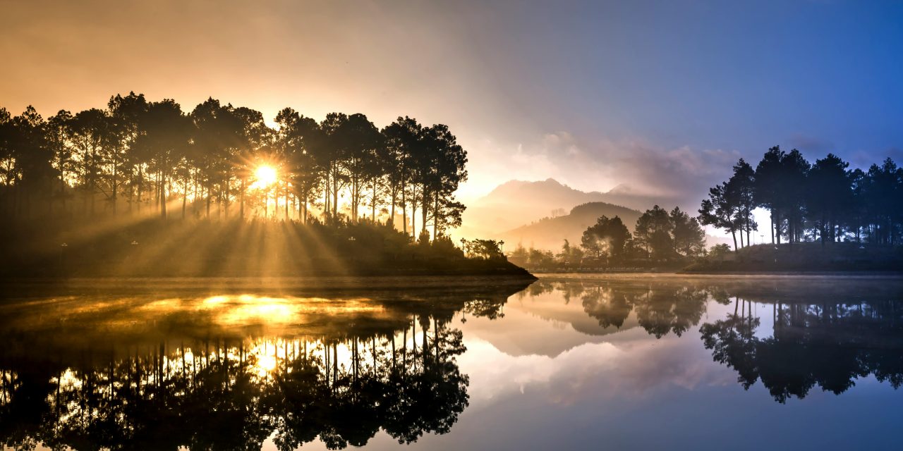 Finding Light in the Darkness: Navigating Life When the Soul Feels Weary