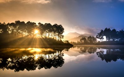 Finding Light in the Darkness: Navigating Life When the Soul Feels Weary