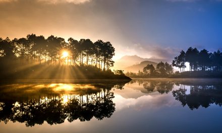 Finding Light in the Darkness: Navigating Life When the Soul Feels Weary