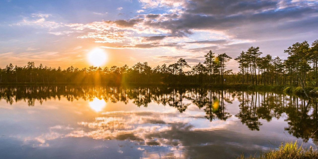 Conscious Living: How Small Shifts Can Lead to Lasting Inner Peace