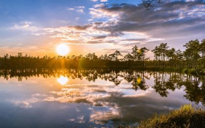 Conscious Living: How Small Shifts Can Lead to Lasting Inner Peace