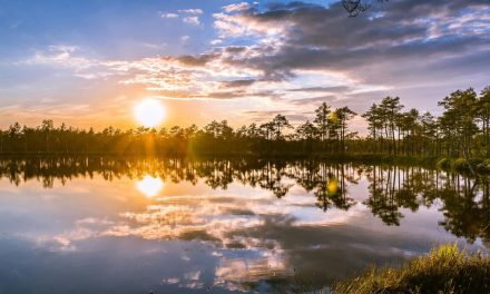 Conscious Living: How Small Shifts Can Lead to Lasting Inner Peace