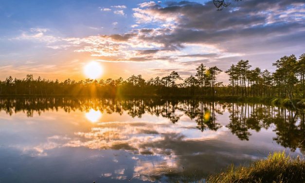 Conscious Living: How Small Shifts Can Lead to Lasting Inner Peace