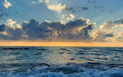 Balancing Mind, Body, and Spirit: A Holistic Approach to True Wellness