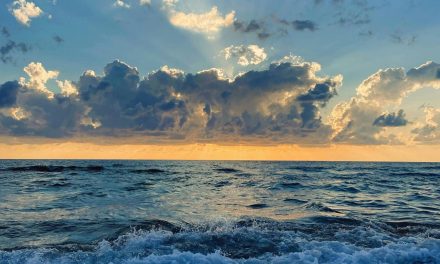 Balancing Mind, Body, and Spirit: A Holistic Approach to True Wellness