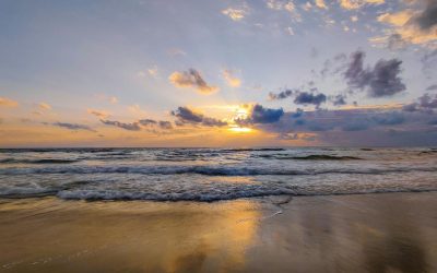 How to Stay Grounded During Energetic Shifts