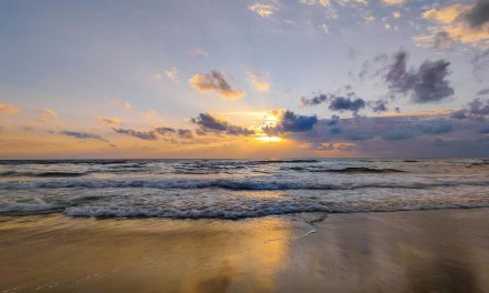 How to Stay Grounded During Energetic Shifts