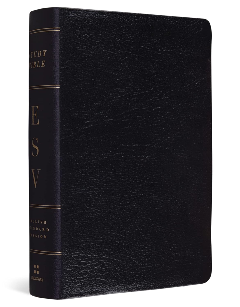 ESV Study Bible (Personal Size)
